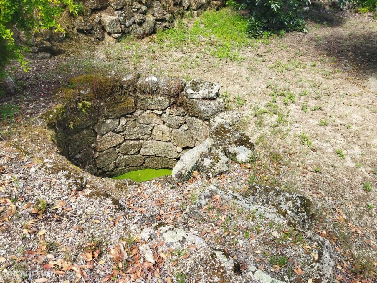 Terreno rústico | Lousa CTB, Castelo Branco-26