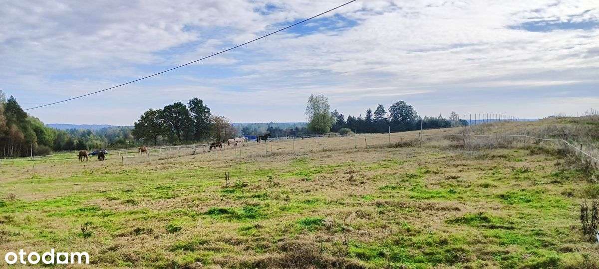 Ostatnia działka z Wz, 148zł/m2 - Pełny obrazek: 5/15