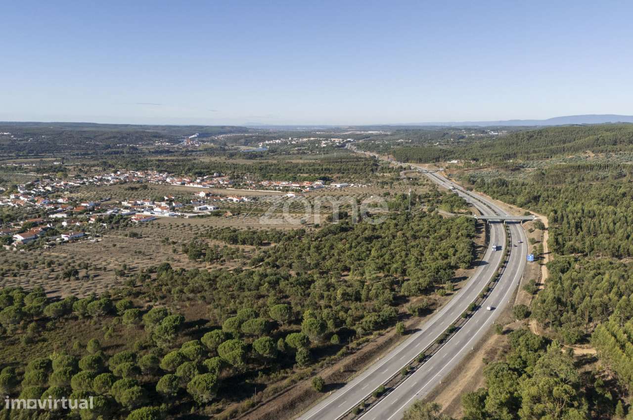 Terreno Rústico || Foro do Milagre || Montalvo, Constância - Grande imagem: 5/15