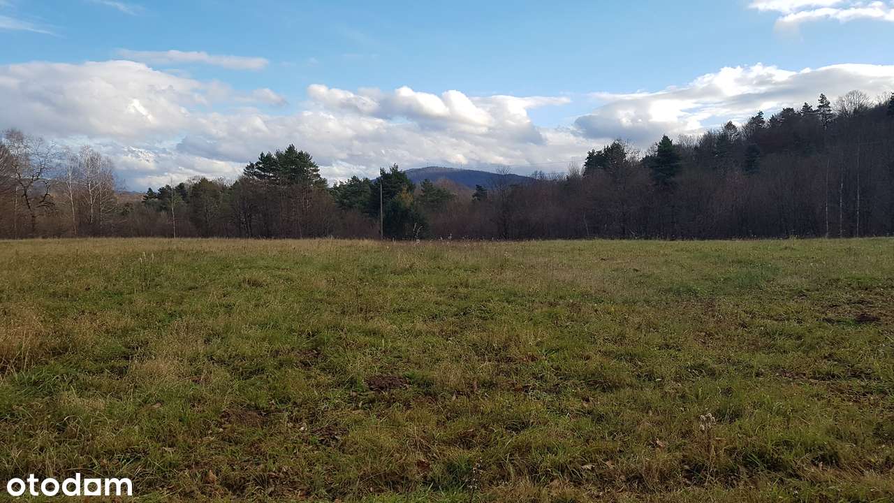 Uzbrojona działka widokowa na wzgórzu – 3 min od Soliny + własny las! - Pełny obrazek: 4/20