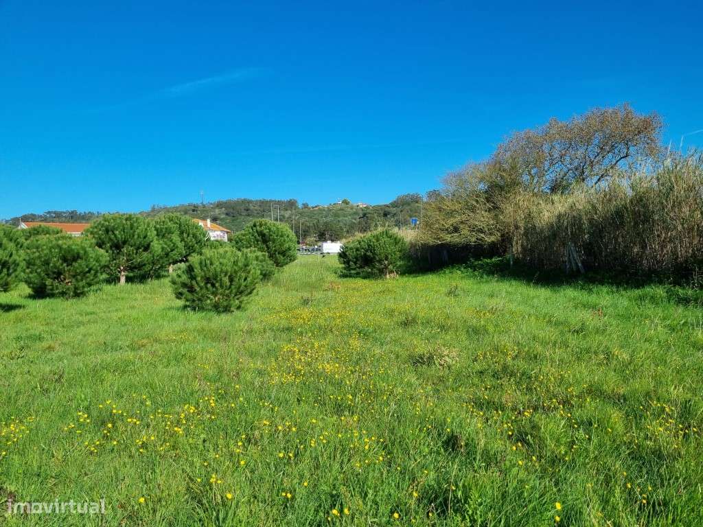Terreno de 8.293m2 na Tornada - Caldas da Rainha - Grande imagem: 3/12
