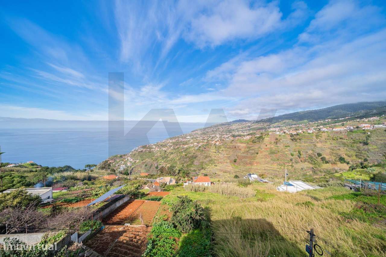 Vendo moradia T4 Loreto Calheta - Grande imagem: 2/30