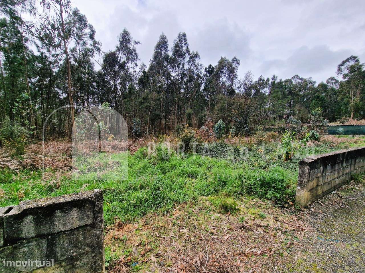 Terreno Urbano em Argoncilhe – Santa Maria da Feira - Grande imagem: 4/6