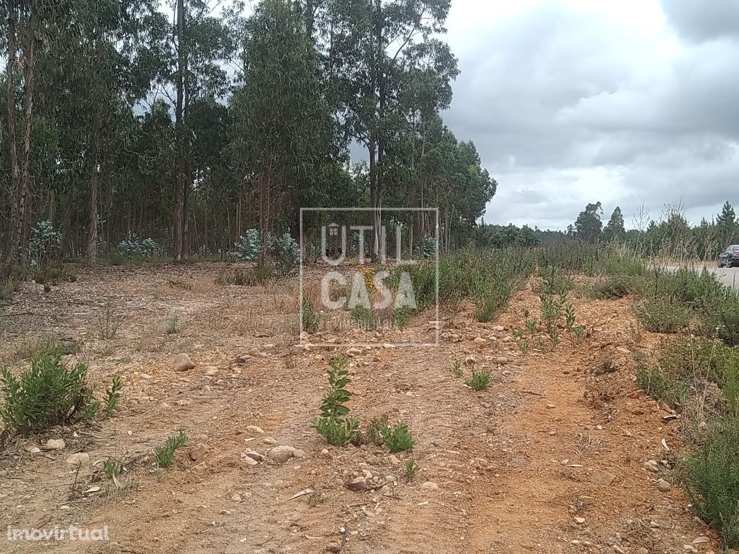 Terreno em Ortiga (Mação)