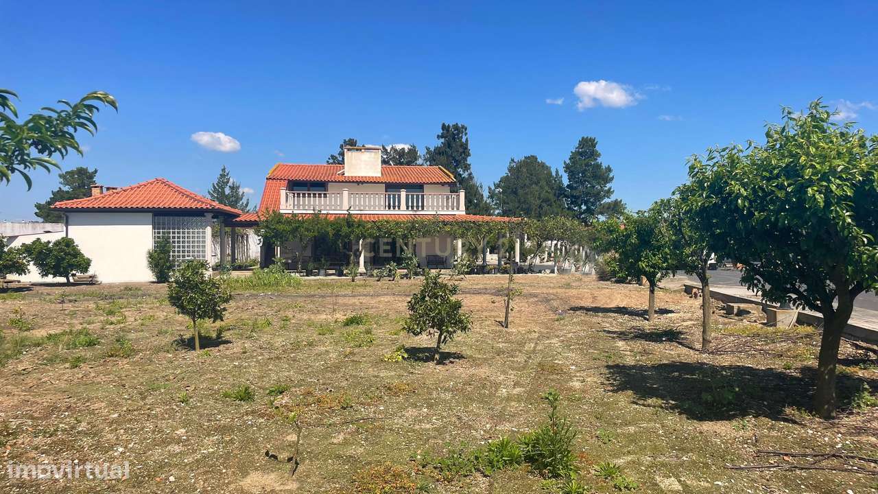 Quinta Rústica em Benavente-10