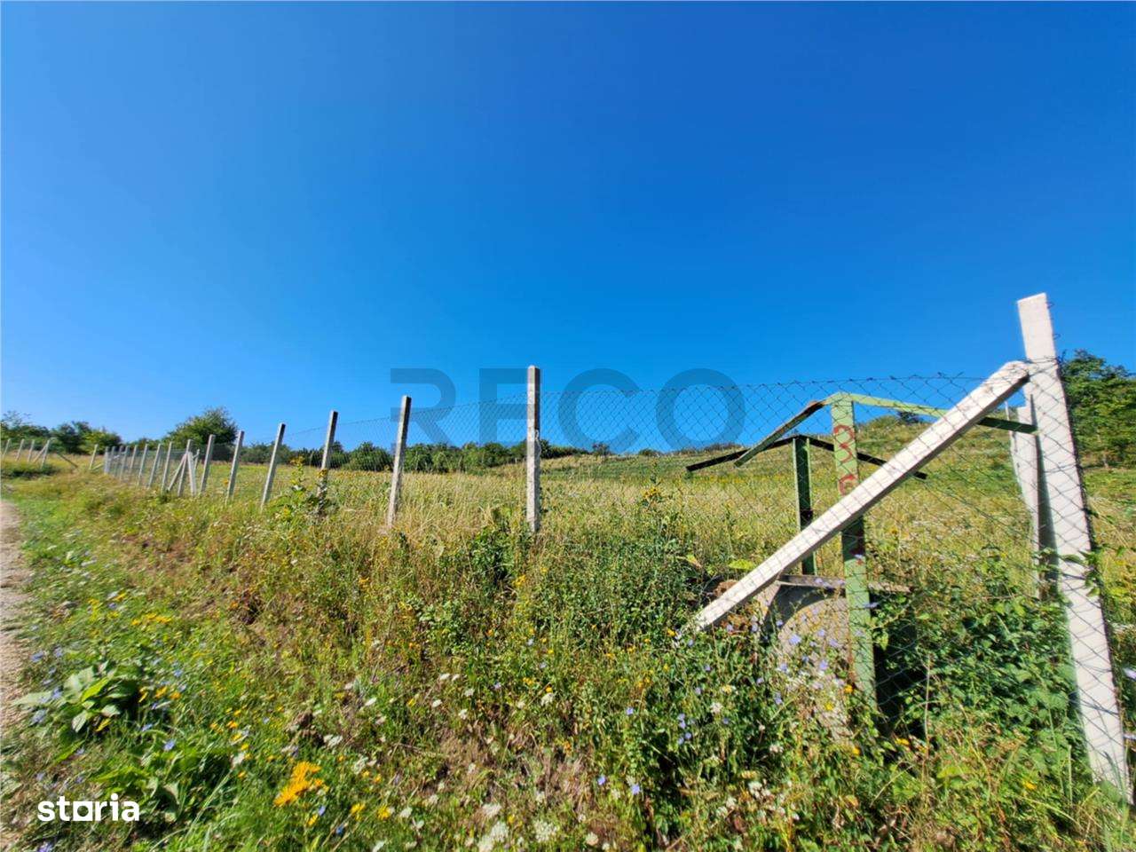 RECO teren intravilan Podgoria - Imagine principală: 2/5