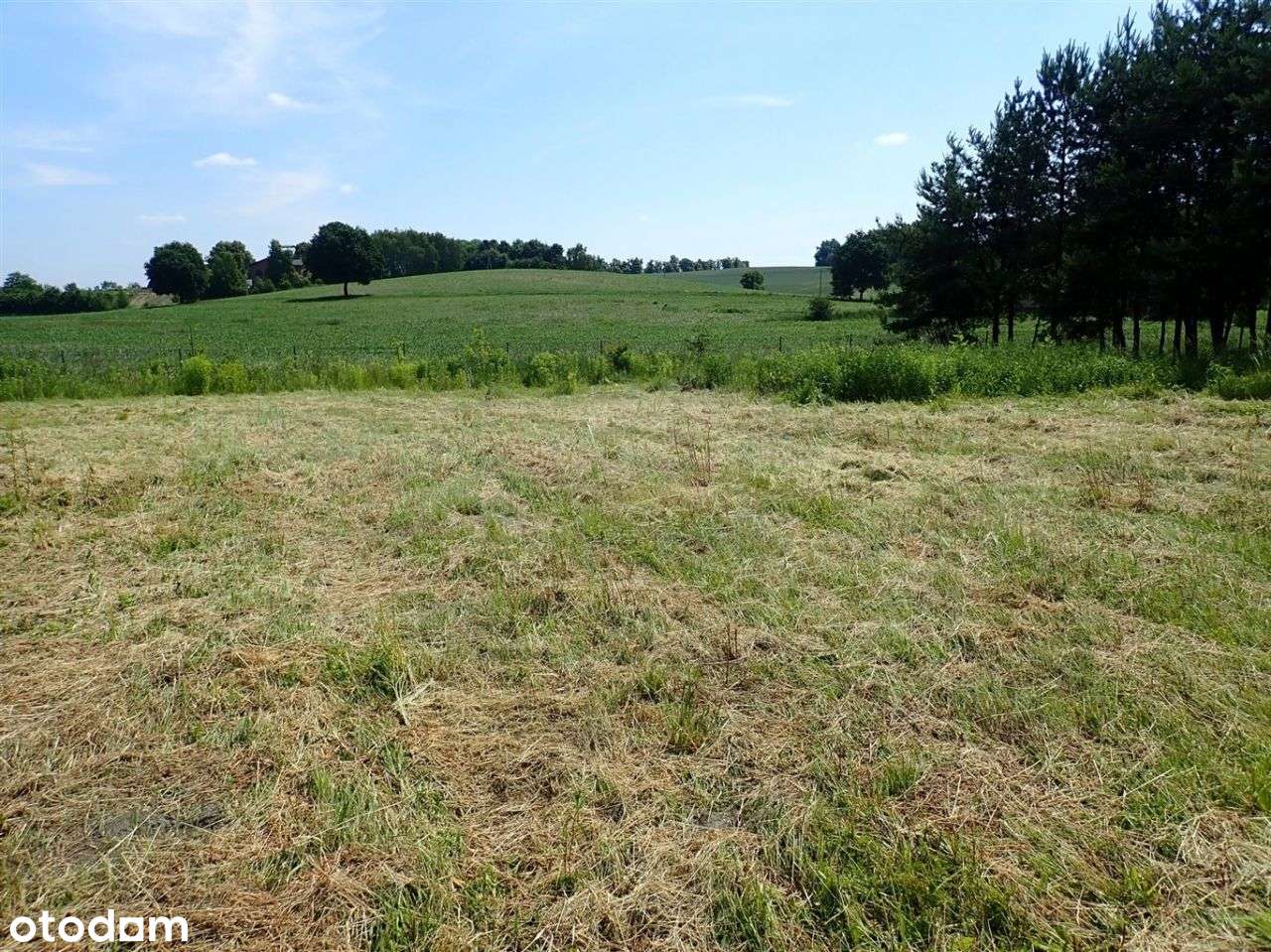 Działka budowlana Rybnik Czernica 7924m2 MPZP pozwolenie  projekt-7