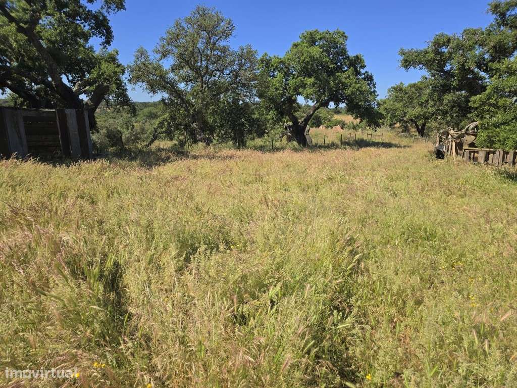 Monte Alentejano - Grande imagem: 5/8