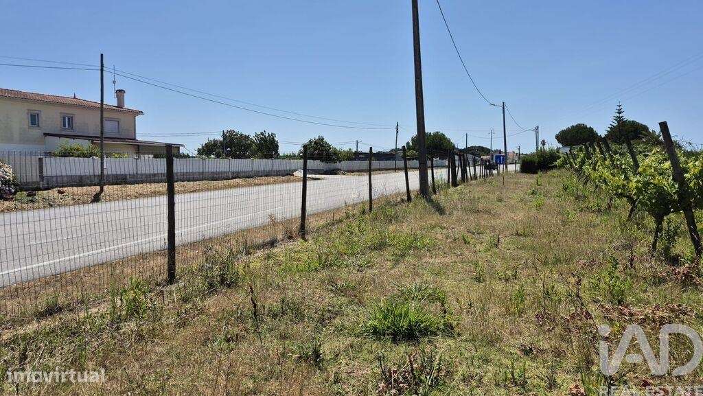 Terreno em Parceiros e Azoia de 2687,00 m2 - Grande imagem: 5/20