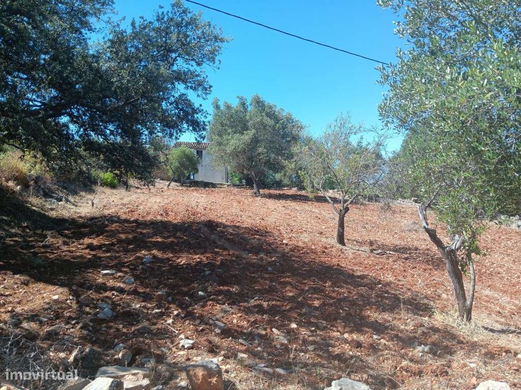 Terreno com ruína, vista mar, Santa Bárbara de Nexe, Faro, Algarve-17