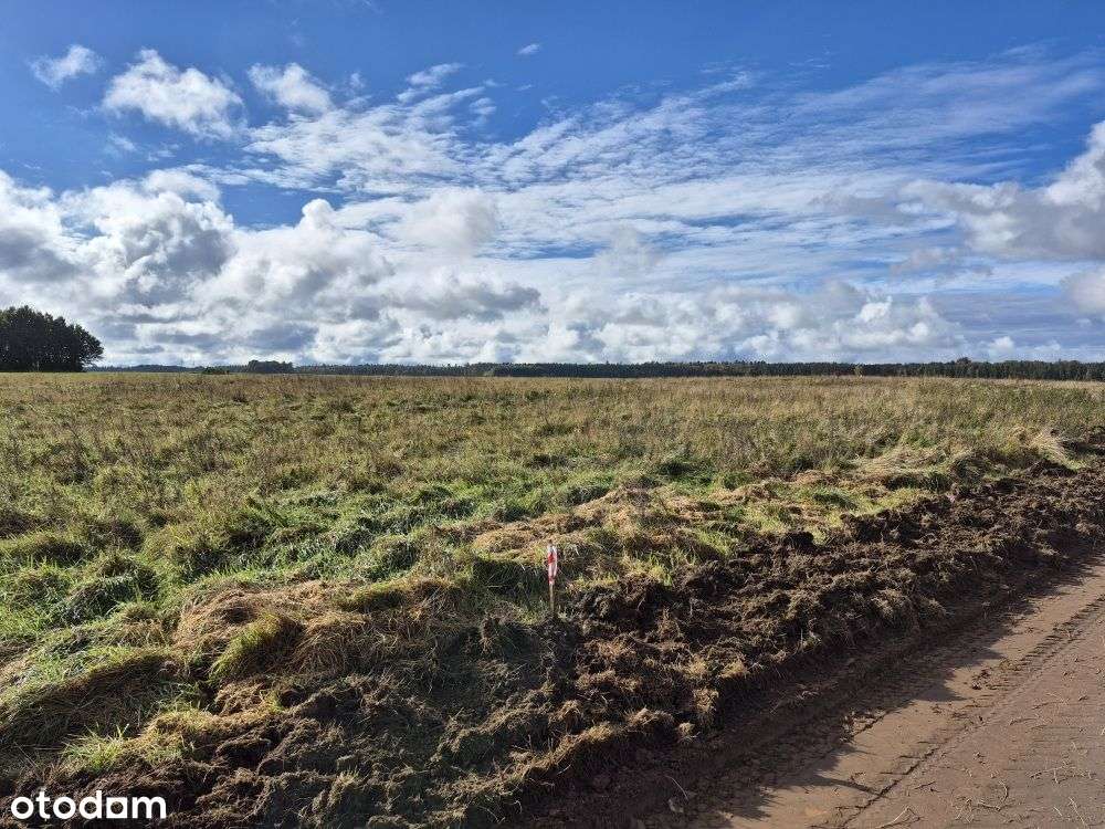 Działki Budowlane Przy Lesie Państwowym-1