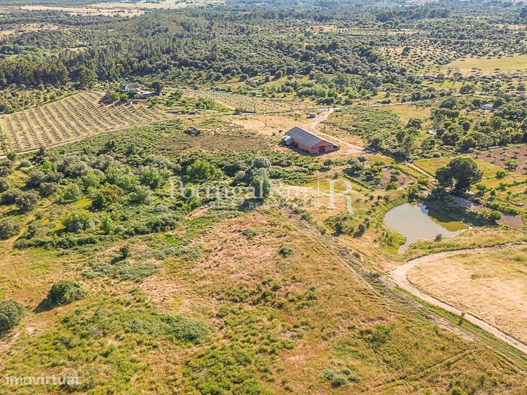Quinta com 19,6 hectares ideal para projetos agroflorestais - Grande imagem: 5/27