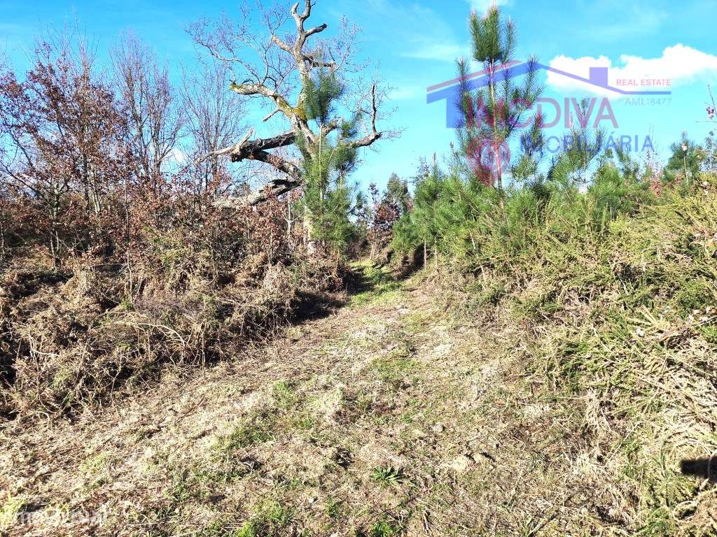 Casa de campo com terreno em Bairradas-27