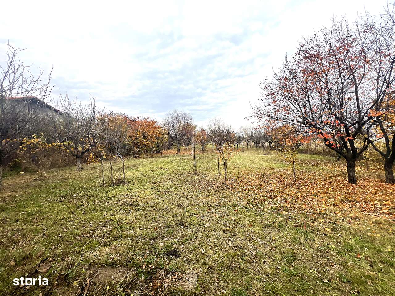 Apartament cu 3 camere in Vila | Curte si gradina | Aproape de oras-16