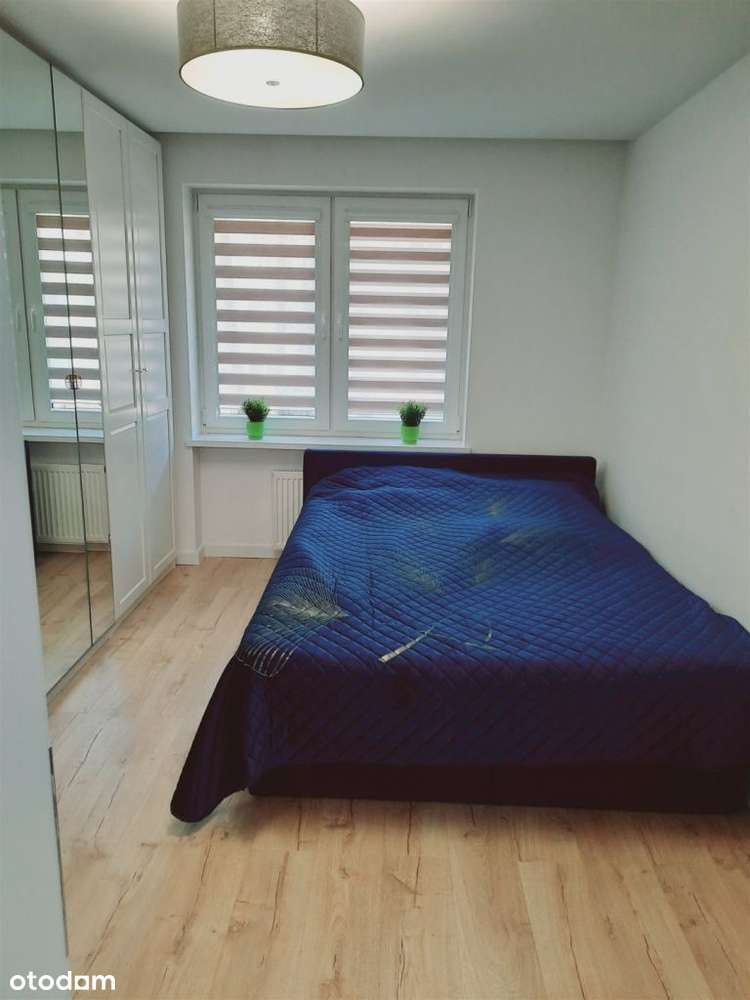 Wys.standard*3 pok*Wołodyjowskiego*Ip*własność*-7