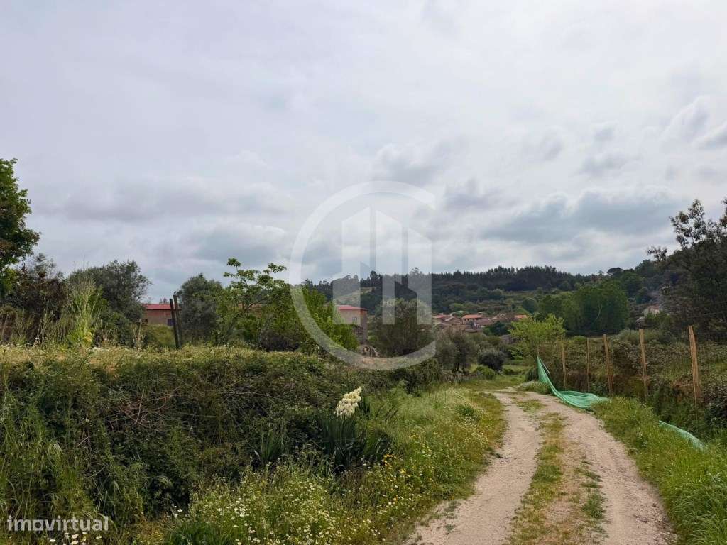Terreno com construção - Vale da Loba, Beijós-10