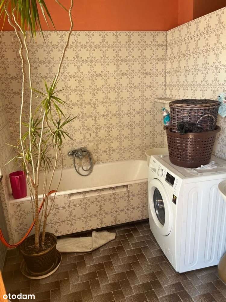 Dom na działce 3710m2 Mrowino 15 minut od Poznania-12