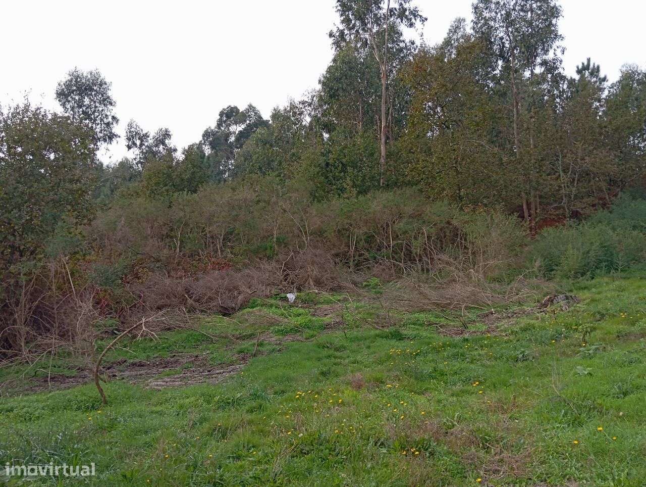 Terreno para construção com 830m2 em Ribeiros, Fafe - Grande imagem: 5/11