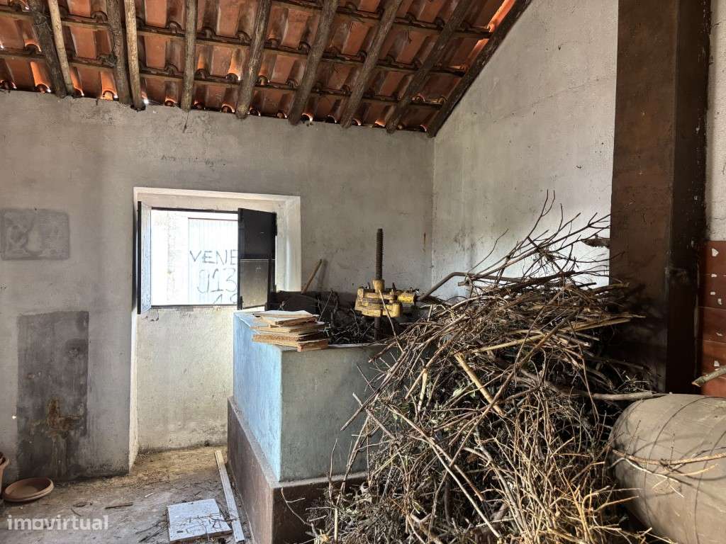 Vendese Quinta com Casa T4, Adega, Lagar e Terreno com Árvores de F...-39
