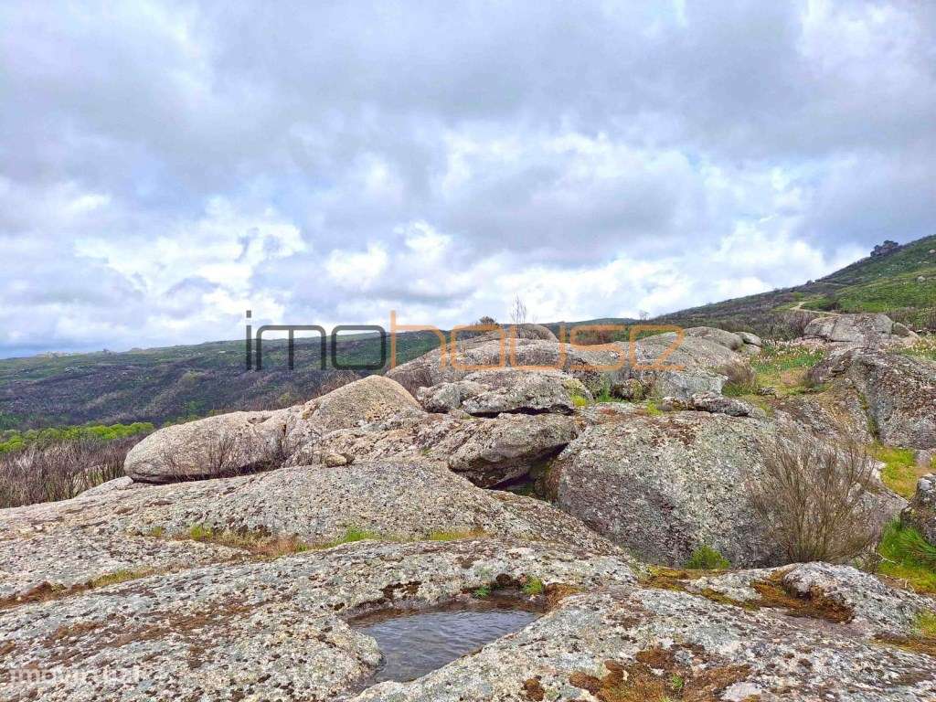 Terreno de 84 hectares-42