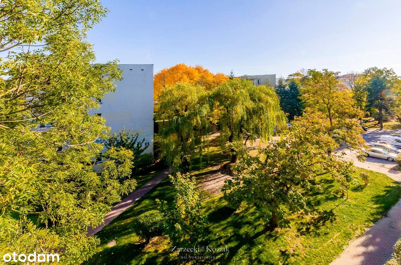 Przyjemne i ustawne 3 pokoje | 54,5 m | cena do negocjacji-0