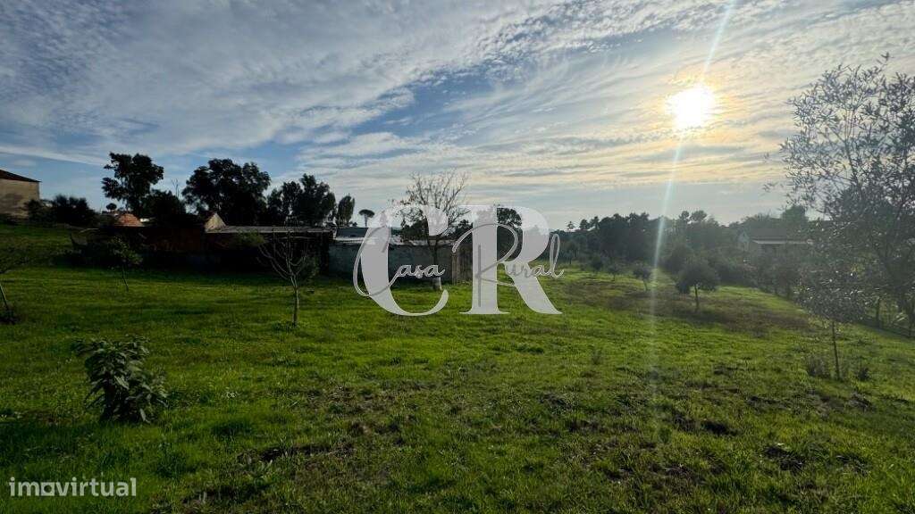 Terreno com viabilidade de construção - Grande imagem: 5/12