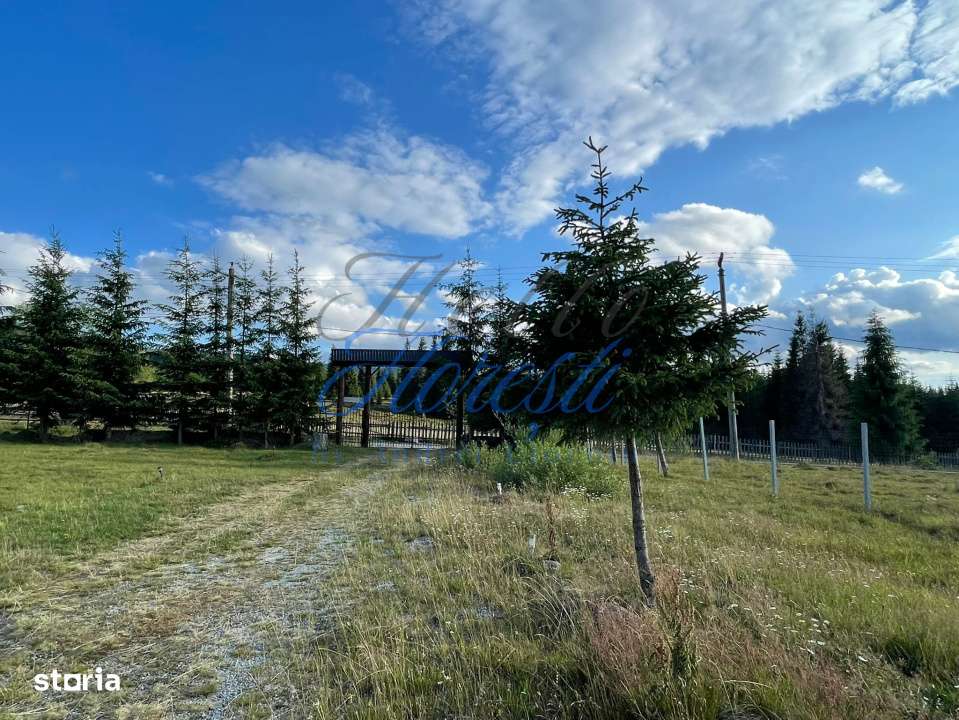 AFACERE LA CHEIE, Imobil turistic, 1.140mp utili + 2.450mp Teren - Imagine principală: 3/19