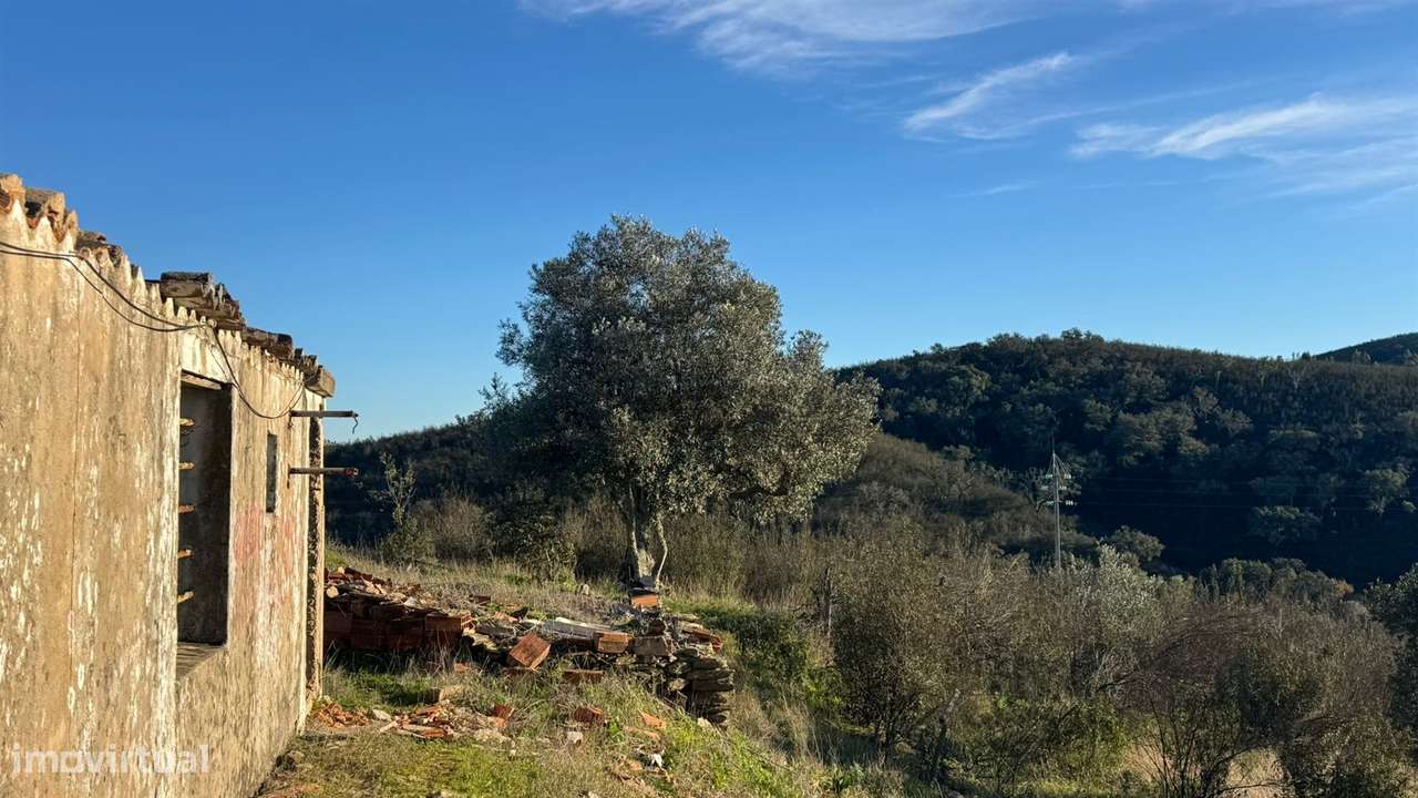 2 Moradias para recuperar em Terreno com 12000m2-Santana da Serra - Grande imagem: 5/22