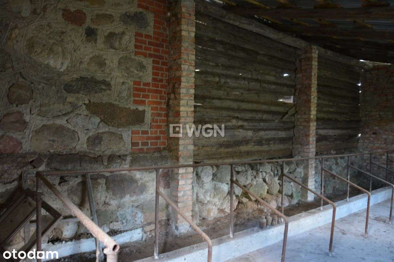 Działka atrakcyjna z budynkami - Pełny obrazek: 5/5