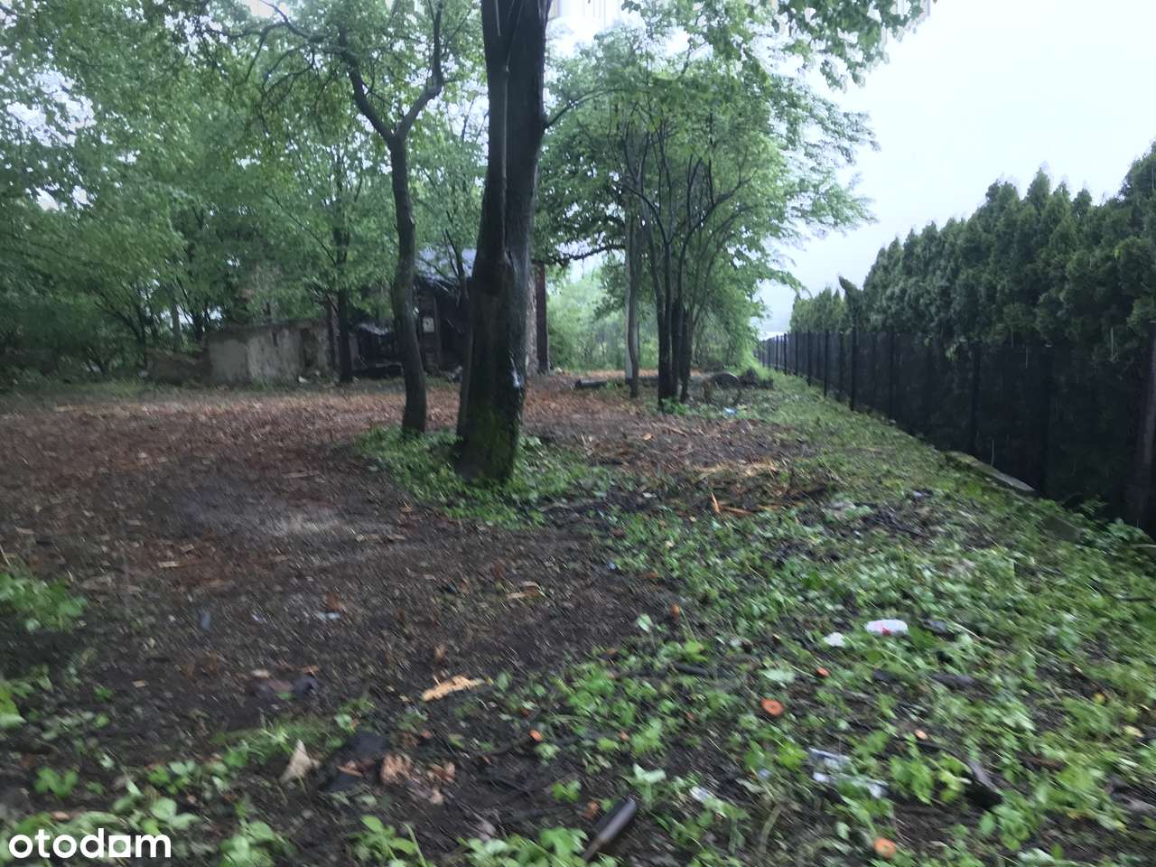 budowlano-rolna 5900 m² – Sadowie,Mierzęcice ul. Dworska 46 – MPZP