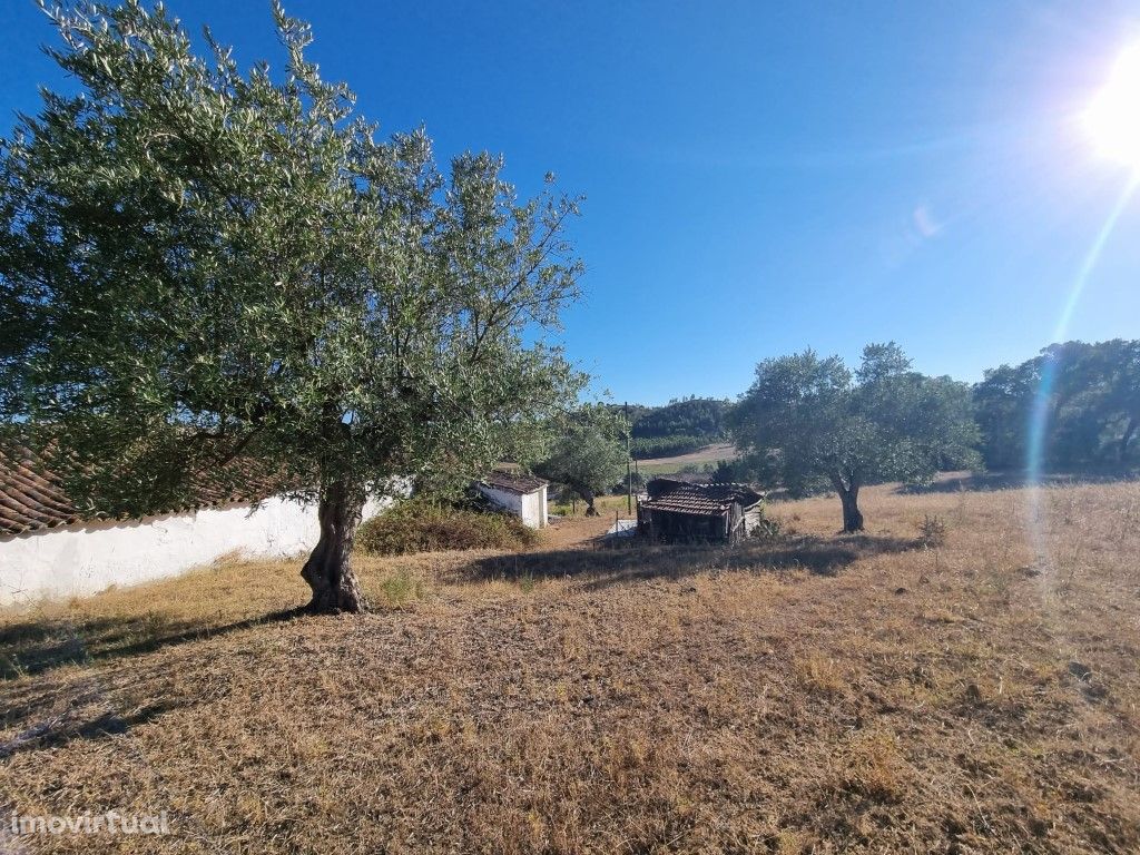 Quinta com 4ha para venda em Santarém