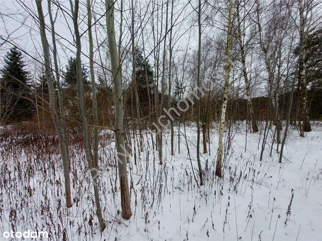 Plan Miejscowy, Wszystkie Media, Asfalt.-11