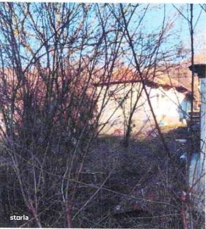 Casa si teren Valea Mare Podgoria, cota 1/2 , ID: R2618541-0