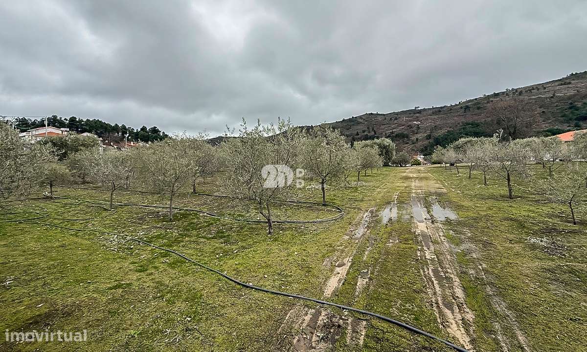 Terreno 5860m² - Pinheiros - Grande imagem: 5/26
