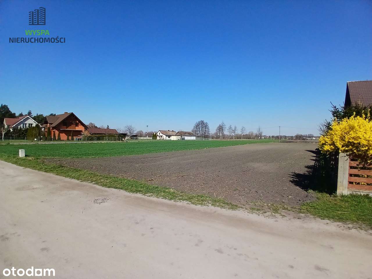 działka budowlana przy lesie,