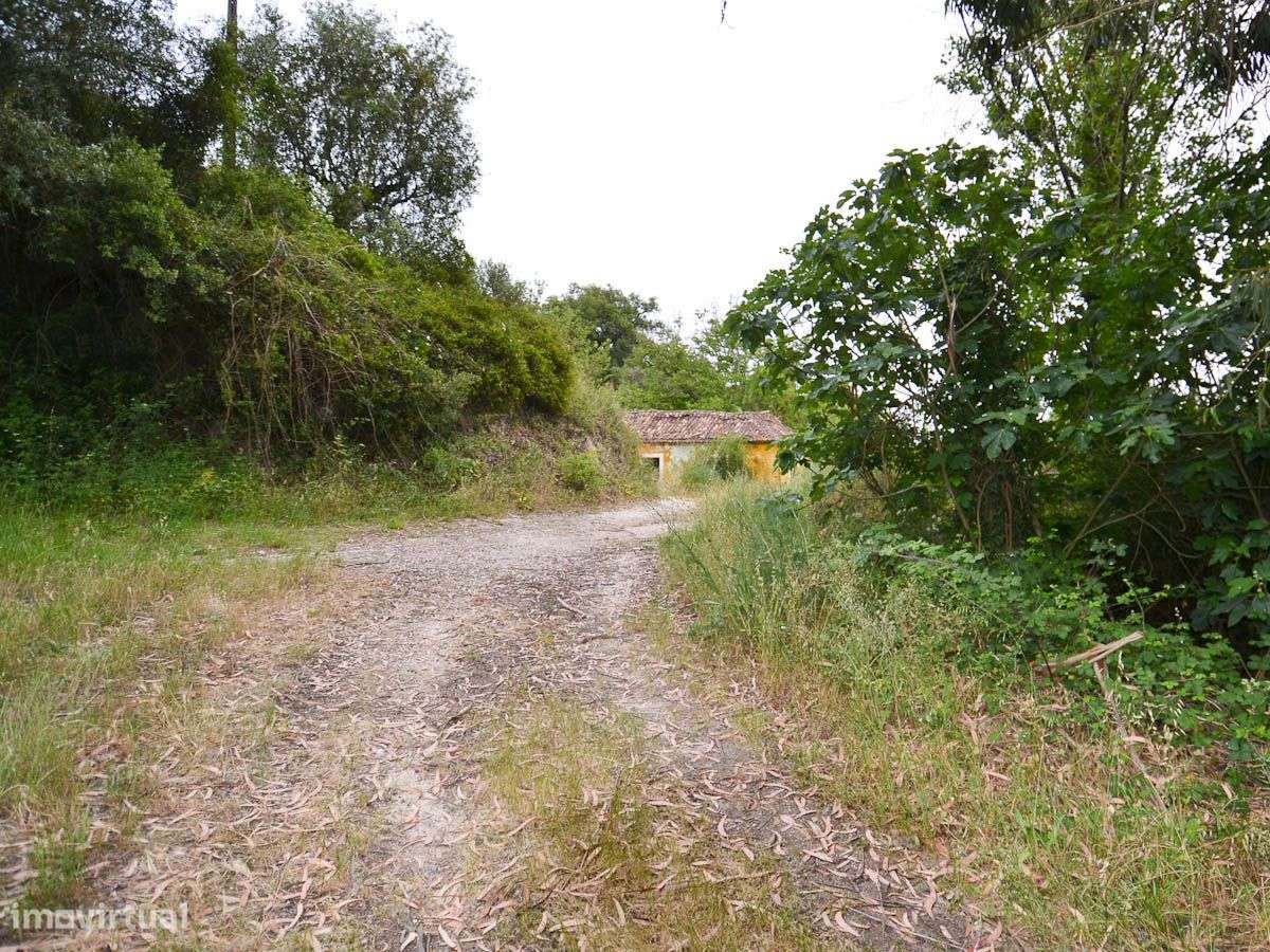 Moradia com 26960m2 de Terreno - Grande imagem: 2/6