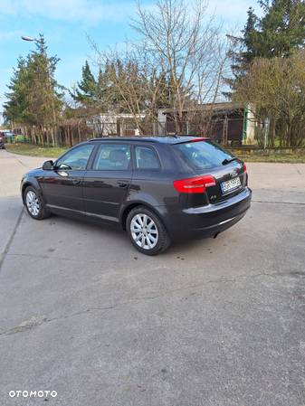 Audi A3 2.0 TDI DPF Ambition - 6