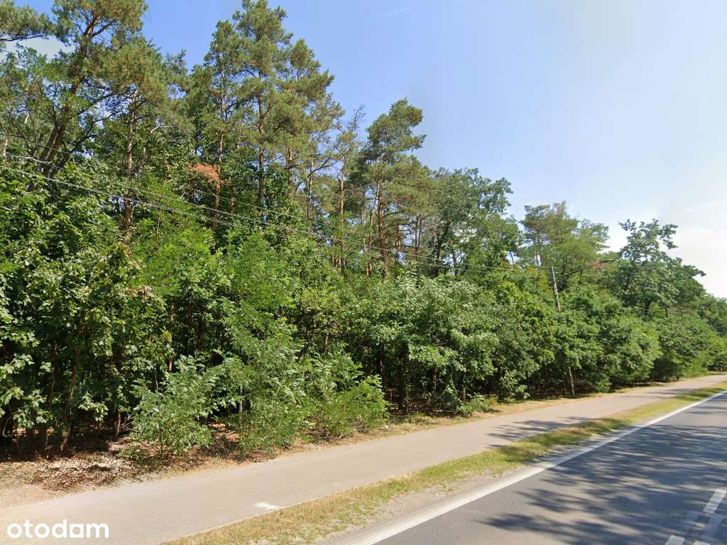 Działka inwestycyjna | media | dojazd asfaltowy - Pełny obrazek: 4/5