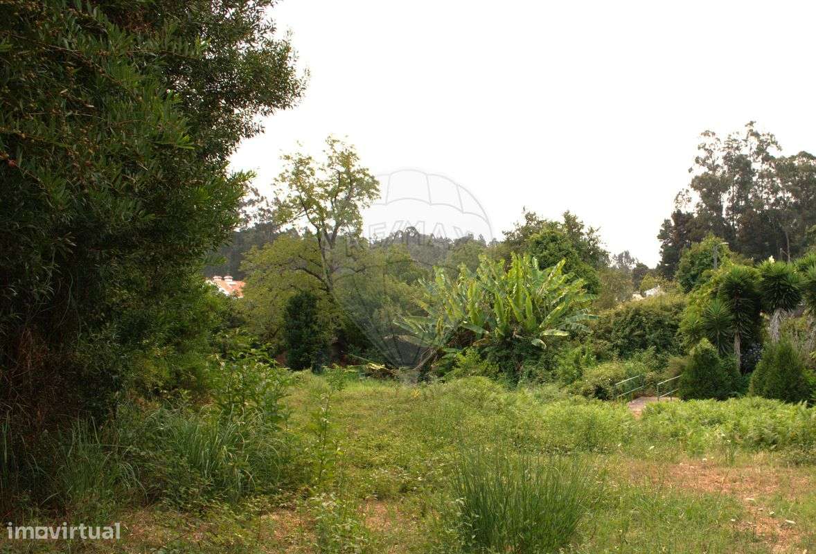 Terreno  para venda - Grande imagem: 4/5