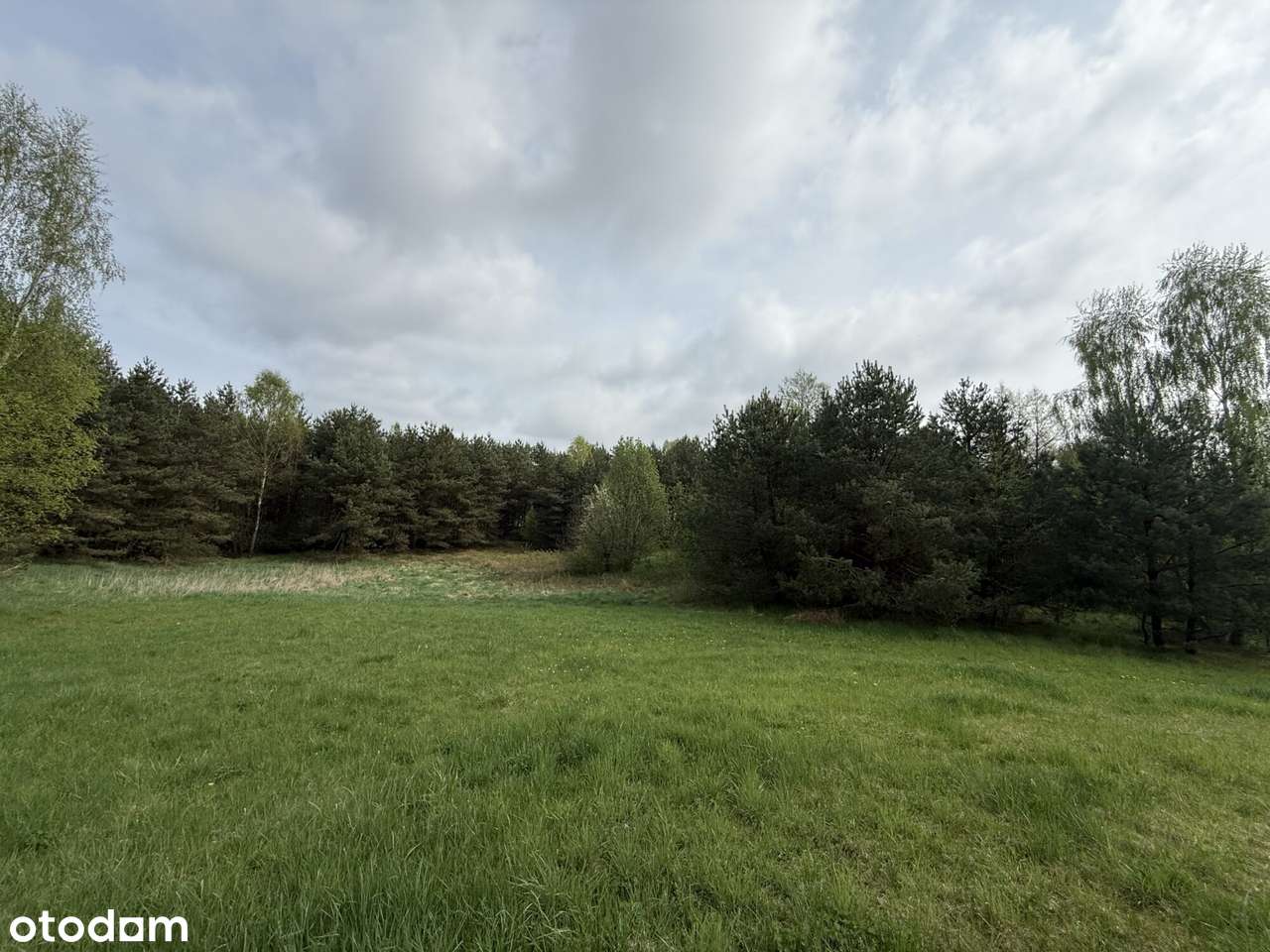 Kawałek zielonego raju, natura i śpiew ptaków - Pełny obrazek: 5/16