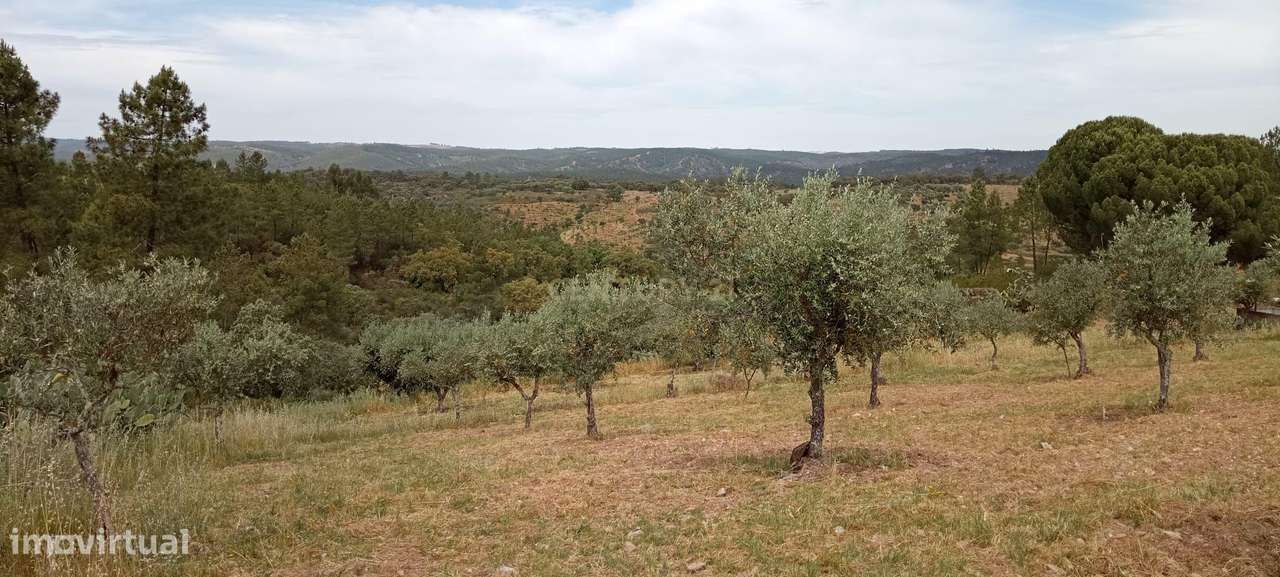 Terreno 8500m2, Lentiscais, Castelo Branco - Grande imagem: 3/21