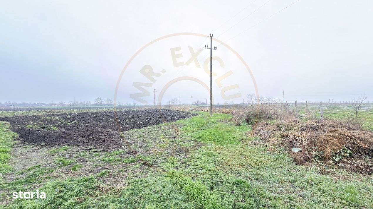 Terenuri intravilane 4.454 mp Drum DN 1F - Loc. Ghenci - Jud. Satu Mar - Imagine principală: 5/7