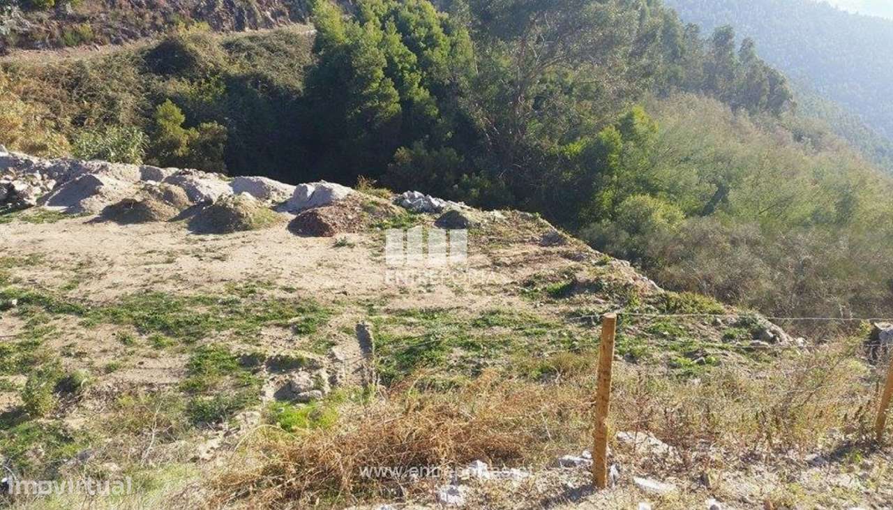 Venda Terreno,Tresouras, Baião - Grande imagem: 3/13