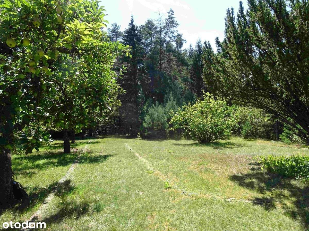 Okazja! Działka w pobliżu jeziora-7