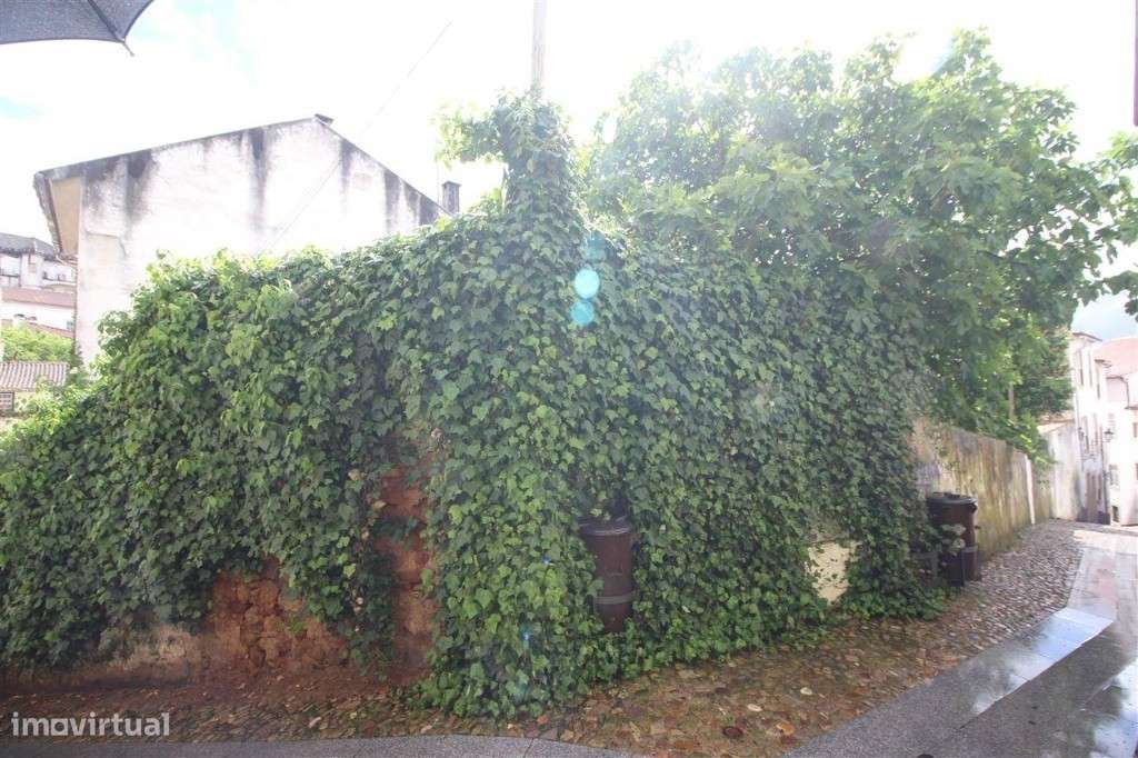 Terreno Para Construção, Coimbra, Alta - Grande imagem: 3/7