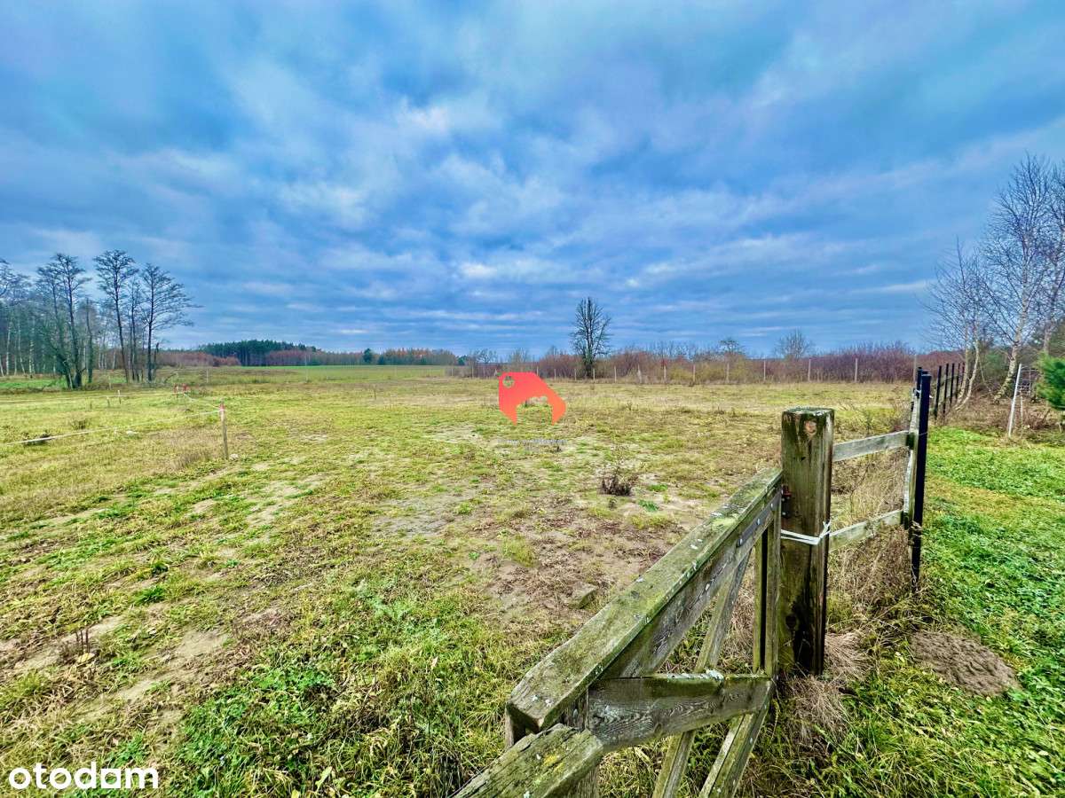 Piękna działka Pyszczyn/Magdalenka 1923m2 - Pełny obrazek: 4/6