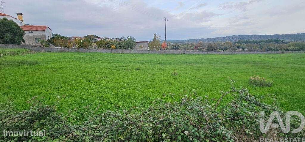Terreno para construção em São Miguel, Santa Eufémia e Rabaçal - Grande imagem: 4/26