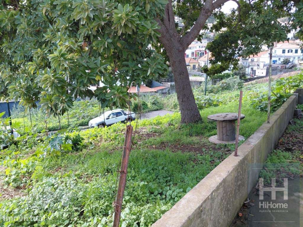 Moradia T2 geminada em Ruina para recuperação - Funchal - Grande imagem: 4/25