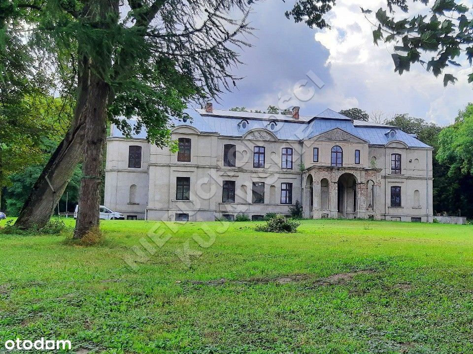 Zabytkowy pałac, park, 2 stawy, Więsławice-Parcele