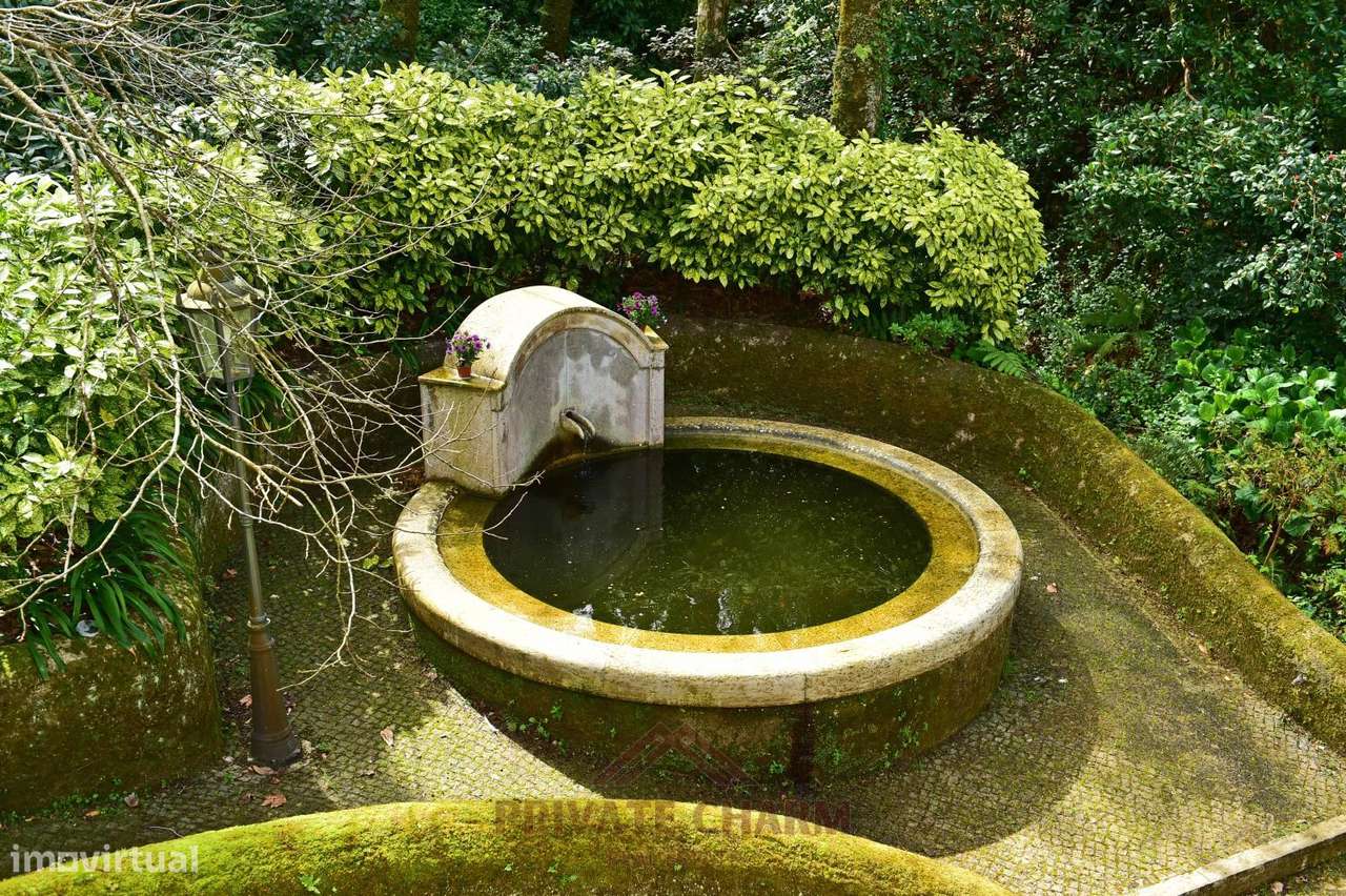 Quinta com área total de terreno 7.650m2-16